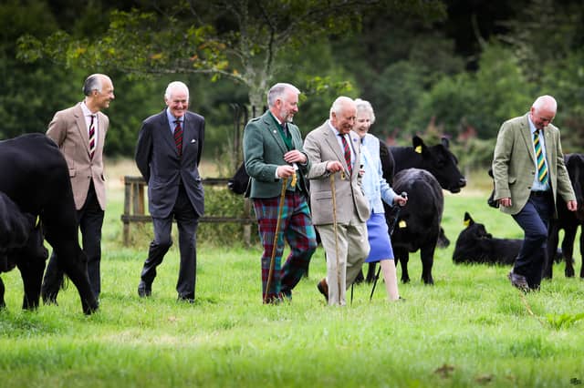 (L to R) Crispian Cook, Oliver Russell, Matthew Currie, HM King, Claire Russell, and David Johnstone