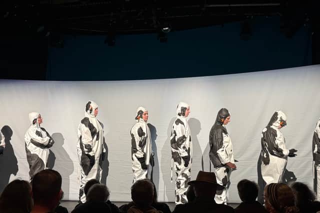 I made my Fringe debut as an extra cow in a show at the Bedlam Theatre ...