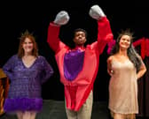 Endometriosis: The Musical