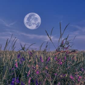 This month's full moon is known as the harvest moon.