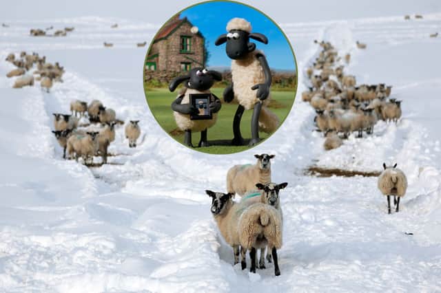 Shaun the Sheep inspired one of the storm names.