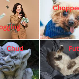Do you know what these slang terms mean.