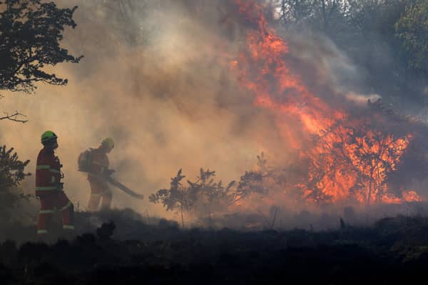 Wildfires are an increasingly serious threat in Scotland (Picture: Jeff J Mitchell)