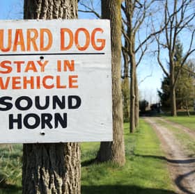 Some breeds make better guard dogs than others.