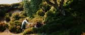 House of Hazelwood whisky and Bertie's bar collaboration takes guests on a tour of the Highlands with old and rare whiskies