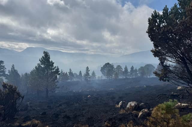 The damage the Cairngorms wildfire has caused
