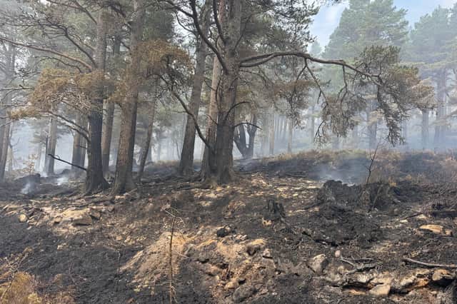 Some of the damage left behind by the Cairngorms wildfire.