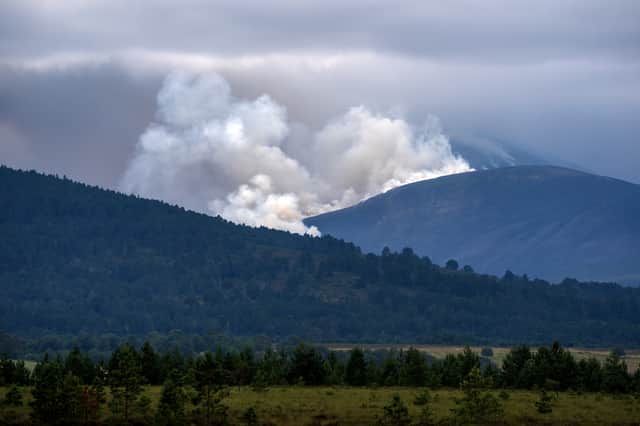 A wildfire burns near Nethy Bridge in the Cairngorms National Park in July (Picture: Jane Barlow)