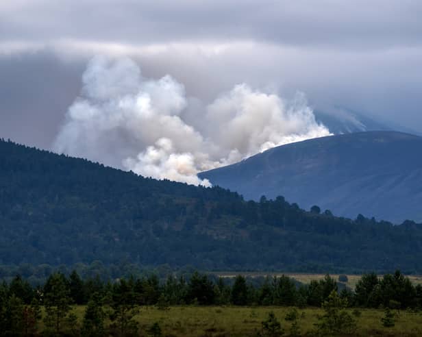 A wildfire burns near Nethy Bridge in the Cairngorms National Park in July (Picture: Jane Barlow)