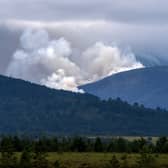 A wildfire burns near Nethy Bridge in the Cairngorms National Park in July (Picture: Jane Barlow)