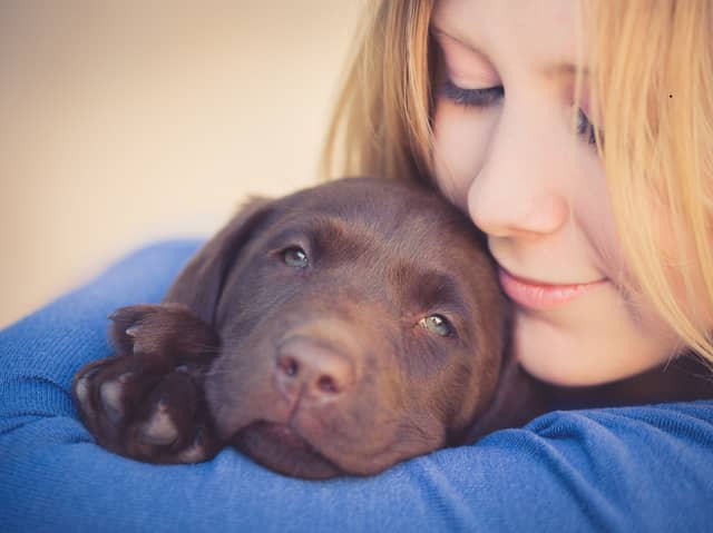 Some dogs are happiest when they're as close to their beloved owner as possible.