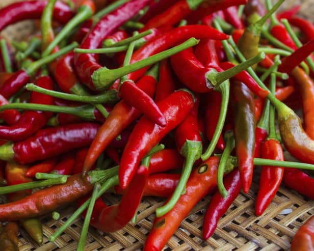 Scran Scottish chillies