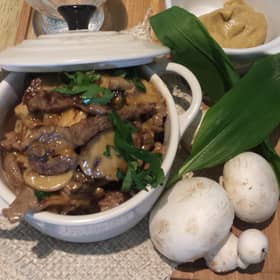 Beef Stroganof - Carina Contini recipe
