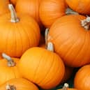 Pumpkins