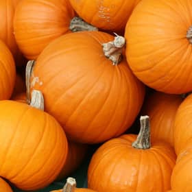 Pumpkins