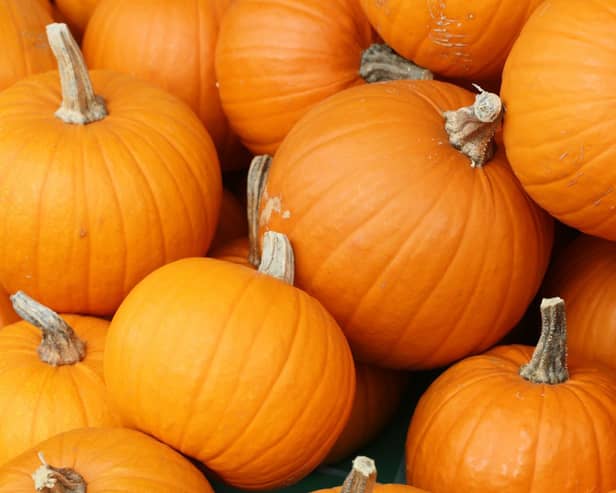 Pumpkins