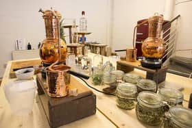 Crossbill Gin School