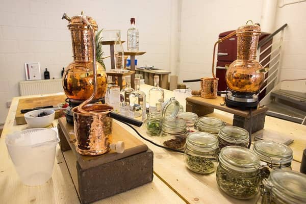 Crossbill Gin School