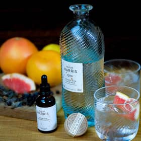 best Scottish Gins