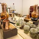 Picture: Crossbill Gin School