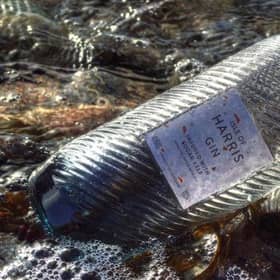 Picture: Harris Gin