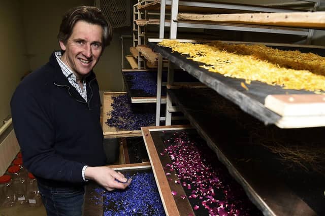 Hamish Martin is co-founder of the Secret Herb Garden and the Old Curiosity Gin (photo: Lisa Ferguson)