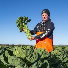 Scotlands Larder - East Lothian Produce, W & R Logan - West Garlton



Chris Logan 36, from W & R Logan in the sprout fields with his sons Cole Logan 11, Gray Logan 8 and Will Logan 6