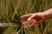 spirit of speyside