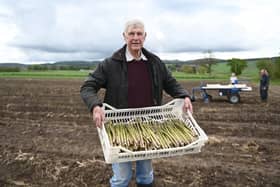 Sandy Pattullo asparagus and sea kale farmer, Eassie Farm nr Meigle
