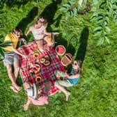 Happy family with children having picnic in park, parents with kids sitting on garden grass and eating healthy meals outdoors, aerial drone view from above, family vacation and weekend concept