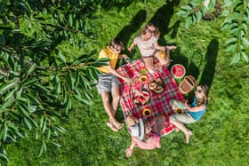 Happy family with children having picnic in park, parents with kids sitting on garden grass and eating healthy meals outdoors, aerial drone view from above, family vacation and weekend concept