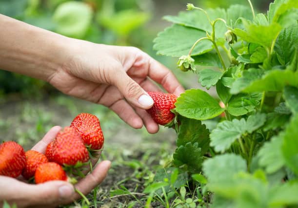 Picture: Shutterstock