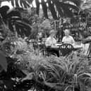 A couple eating in the Green Conservatory of The Ubiquitous Chip restaurant in Glasgow, May 1988.