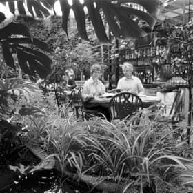 A couple eating in the Green Conservatory of The Ubiquitous Chip restaurant in Glasgow, May 1988.