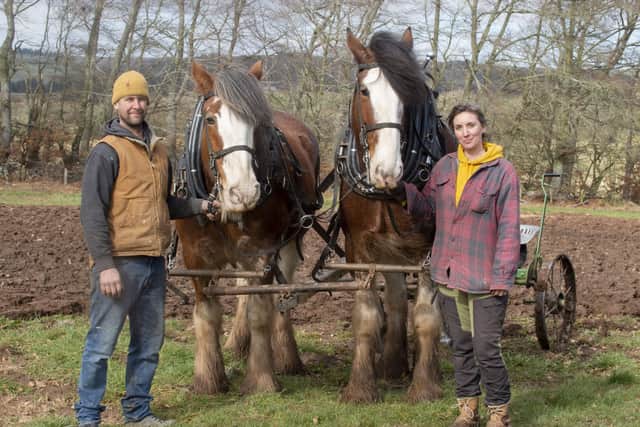 Billy & Steph Anderson of Fingerpost Produce  and their two Clydesdale horses Dickie (lighter) and Davie Photo: Lisa Ferguson.
