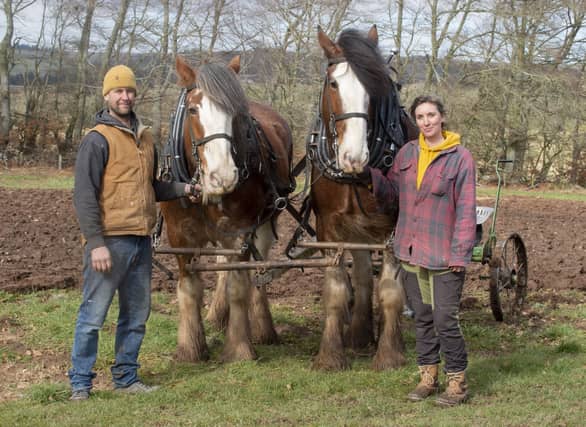 Billy & Steph Anderson of Fingerpost Produce and their two Clydesdale horses Dickie (lighter) and Davie Photo: Lisa Ferguson.