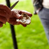 LibertyWines_1190