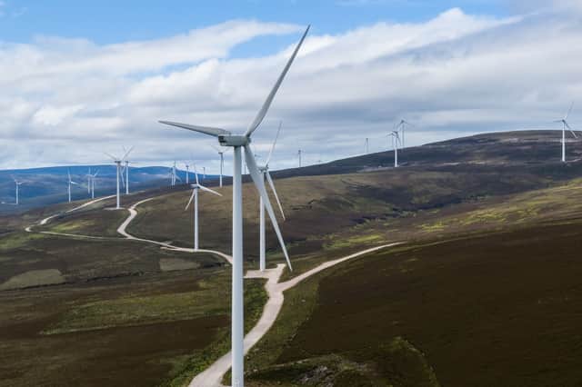The massive wind turbines that litter Scotland's countryside are our great follies of the 21st century so far