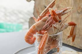 Tom Kitchin recipes by Marc Millar Photography

 Langoustines Spectrum