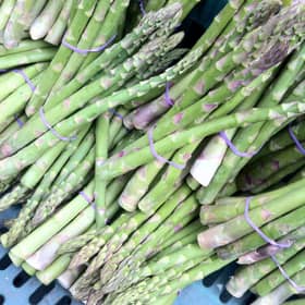 Asparagus1