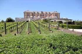 Domaine Carneros Vineyards & Winery, Sonoma Valley, California,