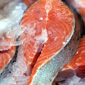 salmonfish