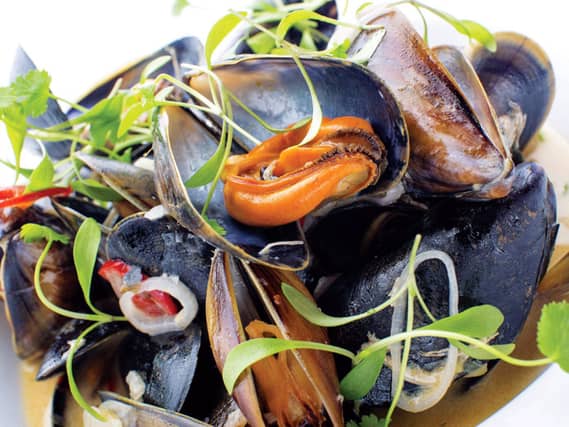 mussels