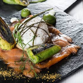 salmon