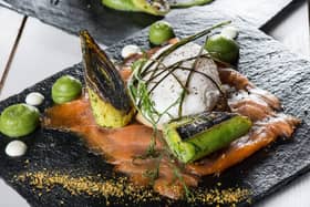 salmon
