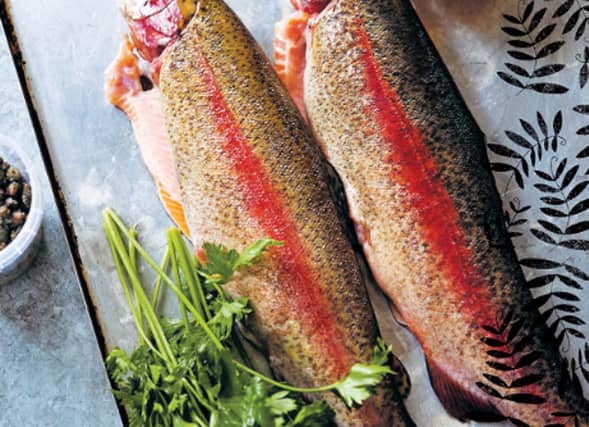 fish