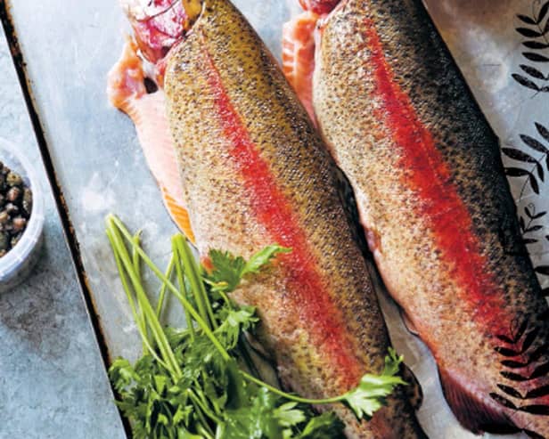 fish
