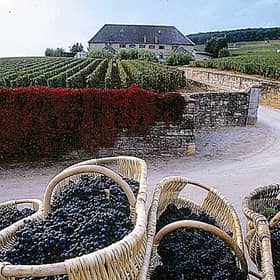 wine1