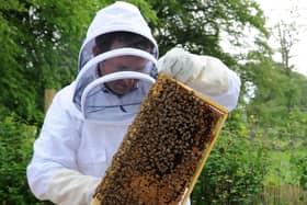 Covington and Thankerton Beekeepers have first public display, Covington House by Thankerton. (L) Angus Millner-Brown (Sec)

Pic taken by freelance photographer Alan Waston on Tuesday, May 27, 2014.