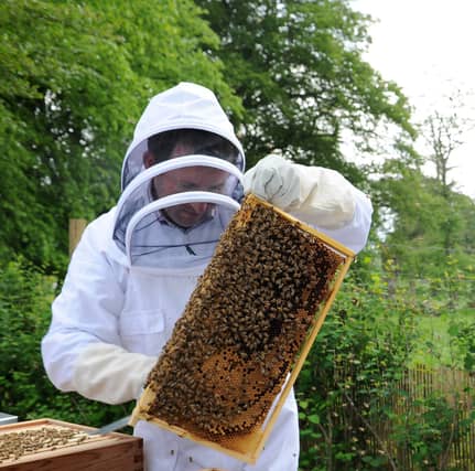 Covington and Thankerton Beekeepers have first public display, Covington House by Thankerton. (L) Angus Millner-Brown (Sec)
Pic taken by freelance photographer Alan Waston on Tuesday, May 27, 2014.